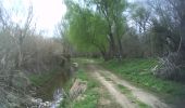 Percorso A piedi Lleida - Camí Natural del Riu. Ruta 2b - Photo 6