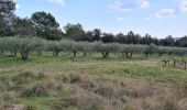 Excursión Senderismo Salinelles - Salinelles-Souvignargues-Fontanes - Photo 18