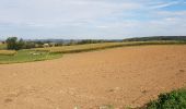 Tour Elektrofahrrad Ronse - Renaix - Berchem - Domaine de Ghellinck - Golf des Ardennes flamandes - Photo 18