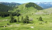 Trail Walking Beuil - Mont Demant Par Col de l'Espaul et col des Moulinés, Valberg - Photo 6