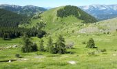 Tour Wandern Beuil - Mont Demant Par Col de l'Espaul et col des Moulinés, Valberg - Photo 6