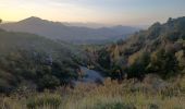 Trail Walking Le Castellard-Mélan - MELAN . Col de Mounis  , sommet du Corbeau o l s - Photo 6