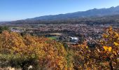 Tour Wandern Prades - 20201129 3 heures depuis Prades - Photo 1