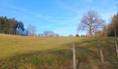 Trail Walking Theux - tillot . hodbomont . mont . wisselez . tillot - Photo 14
