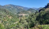 Trail Walking Vallées-d'Antraigues-Asperjoc - Antraigues - Photo 11