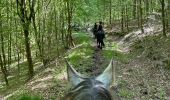 Trail Horseback riding Bastogne - Luxembourg  - Photo 3