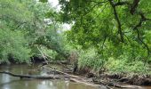 Tocht Hybride fiets Le Teich - Le Teich - Photo 7