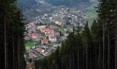 Percorso A piedi Hroznětín - [Ž] Oldřišský vrch - Oldříš - Pod Skálami - Photo 7