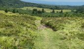 Trail Walking Ceyssat - Du Puy-de-Dôme au Pariou - Photo 3