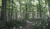 Trail Walking Sivry-Rance - Rance - Circuit Natura 2000, des sites qui valent le détour - Ht09 - Photo 2