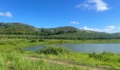 Excursión Marcha nórdica Le Vauclin - La boucle Faula -Trou cochon - Photo 6