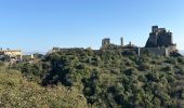 Tour Wandern Rochemaure - Château de Rochemaure, Pic de Chenavari. - Photo 14