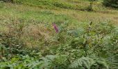 Excursión Senderismo Belforêt-en-Perche - la perrière par la forêt  - Photo 8