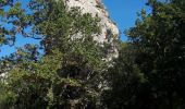 Excursión Senderismo Signes - Siou Blanc - Éléphant de Pierre - Aiguilles de Valbelle - Photo 6