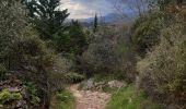 Tour Wandern Céret - Céret pont du Diable . Saint Feriol (boucle sens aiguilles de la montre) - Photo 6