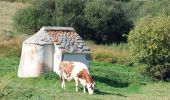 Tour Rennrad Le Vernet-Sainte-Marguerite - ontain  - Photo 1