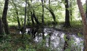 Tour Zu Fuß Auetal - WE 2 Das liebliche Walterbachtal - Photo 1