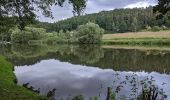 Percorso A piedi Týn nad Vltavou - [Ž] Nad Překvapením - Semenec (rozhl.) - Photo 8