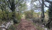 Trail Walking Saint-Paul-le-Jeune - randonnee des combes blancs - Photo 5