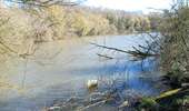 Trail Walking Braine-le-Comte - A sauts de biefs sur l'ancien canal Bxl-Charleroi - Photo 5