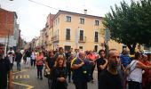 Tour Zu Fuß Sant Joan de Vilatorrada - Rutes d'aigua i secà 2: Obaga de Collbaix i Riera de Fonollosa - Photo 10