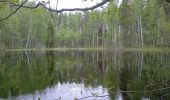 Percorso A piedi Joutsa - Mäyränkierros - Photo 3