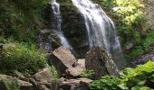 Excursión Senderismo Lizzano in Belvedere - Poggiolforato-Dardagna Falls-Refugio Le Malghe-Madonna dell’Avero - Photo 2