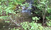 Tour Wandern Theys - PETITE BALADE A PIPAY - Photo 5