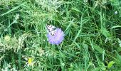 Trail Walking Cuiseaux - Cuiseaux la Tour descente par la madone - Photo 1