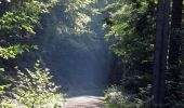 Tour Zu Fuß Ebern - Lauftour EBN2 - Photo 2