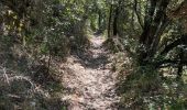 Trail Walking Nyons - N’oyons - Photo 2