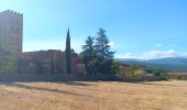 Tour Wandern Prades - codalet . coll de Clara . abbaye St Michel de Cuxa . canal bohère - Photo 4