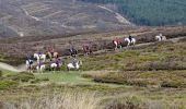 Percorso A piedi Stafford - Tolkien Trail Cannock Chase Walk - Photo 7