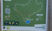 Trail Walking Brandivy - PR_56_Brandivy_AA_01_Etang-De-La-Foret_Circuit1b_20240417 - Photo 9