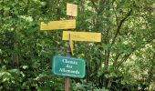 Trail Walking Aiguebelette-le-Lac - Savoie_Aiguebelette_Circuit_LesAllemands - Photo 2