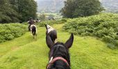 Trail Horseback riding Auritz - 2023 R2 J1 - Photo 3