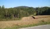 Trail On foot Hitzendorf - Attendorfer Rundwanderweg - Photo 4