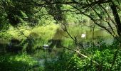 Randonnée A pied Morschen - Niederellenbach Rundweg N3 - Photo 1