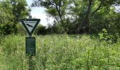 Tour Zu Fuß Morschen - Niederellenbach Rundweg N3 - Photo 3