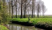 Percorso Marcia Tongeren - Promenade de la beauté cachée à Lauw  - Photo 7