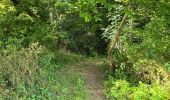 Tocht Stappen Nogent-le-Bernard - Nogent-le-Bernard - Menhir de Courtevrais - Photo 3