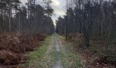 Tour Wandern Belœil - Stambruges, Beloeil, les Ecacheries, mer de sable, Stambruges - Photo 12