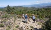 Tour Wandern La Garde-Freinet - Fort Freinet et les roches blanches - Photo 9