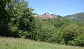 Tour Elektrofahrrad Saint-Rome-de-Tarn - St Victor Genève st Etienne carotte roubiere truelle St Victor  - Photo 9