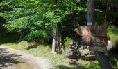 Trail Walking Alagna Valsesia - Alvania - Alpe Maller - Photo 3