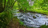 Excursión Senderismo Onhaye - Balade de Sommière à Weillen - Photo 9