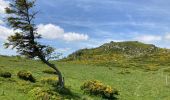 Trail Walking Dienne - Laqueuille seycheuse vassiviere Peyre-Gary  - Photo 3