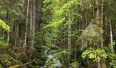 Tour Wandern Le Reposoir - Col des Annes du Reposoir - Photo 5