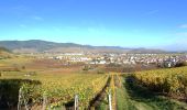 Tour Wandern Winzenheim - Chateaux et vignoble - Photo 1