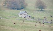 Tocht Stappen Omblèze - Plateau d'Ambel (le tour) - Photo 18